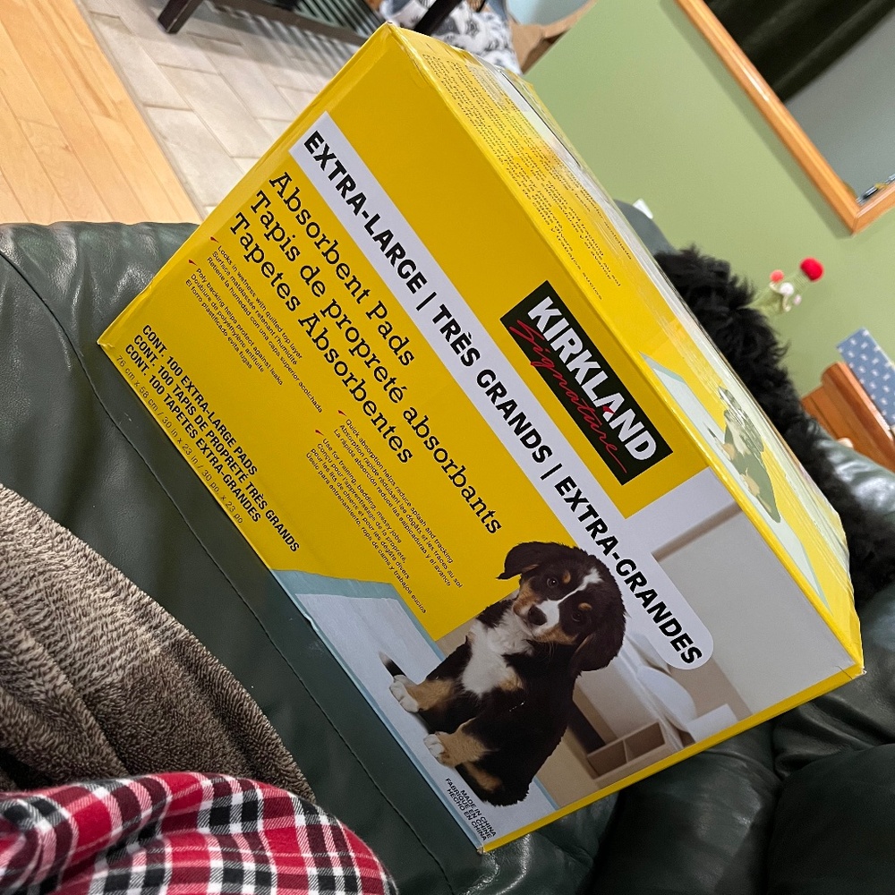 Kirkland Extra-Large Puppy Pee Pads